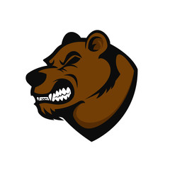 Bear head mascot.