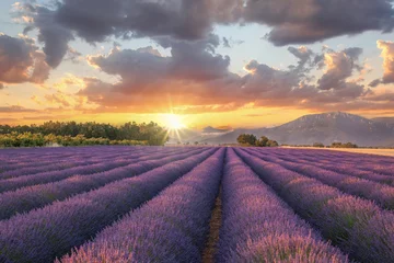 Selbstklebende Fototapete Land Lavendelfeld gegen farbenprächtigen Sonnenuntergang in Provence, Frankreich