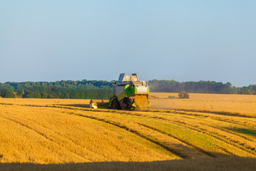 Harvester machine working in field . Combine harvester agriculture machine harvesting golden ripe wheat field. Agriculture