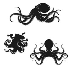 Set of octopus silhouettes isolated on white background. Seafood