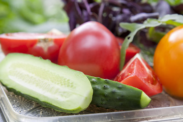 Different ripe organic vegetables tomatoes, cucumber and patty pan squash, fresh arugula and violet basil on a tray