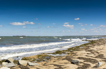 The coast of the Black sea with cargo ships on the horizon