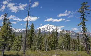 Lassen Peak, in Lassen Volcanic National Park, rises from a trail in the park under bright blue skies with puffy clouds