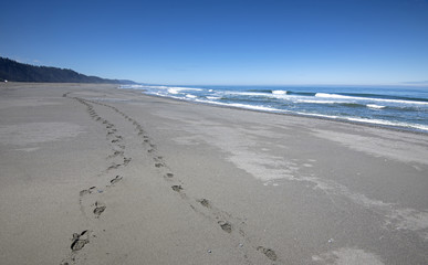 Two sets of footprints are visible along the beach under a bright blue sky in Redwood National and State Park in Northern California