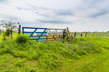 Obraz na płótnie Canvas Bluebonnet field and Texas flag gate in countryside of Ennis, TX