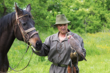 Falconer in traditional clothing with peregrine falcon and horse