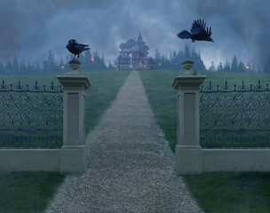 Mistery old house in the fog and two crows on the gate