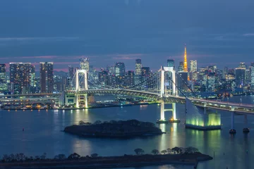 Aluminium Prints Japan Japan skyline with Rainbow Bridge and Tokyo Tower, Odaiba, japan