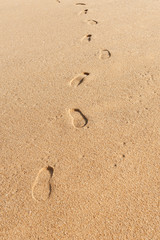Fototapeta na wymiar Texture of sand beach with footprint