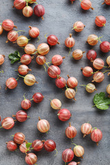 Gooseberries fruit on a grey table