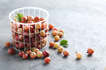 Gooseberries fruit on a grey table
