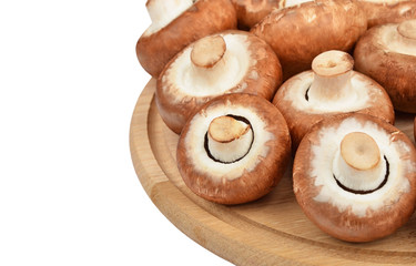 Champignon (True mushroom) on wooden board