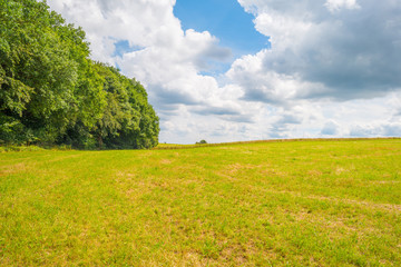 Hills of the Eifel National Park in summer