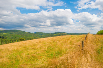 Fototapeta premium Hills of the Eifel National Park in summer