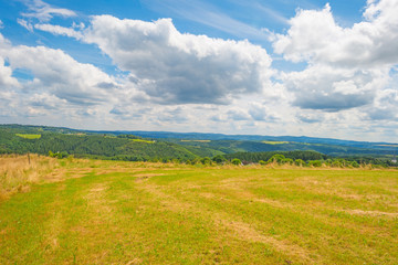 Obraz premium Hills of the Eifel National Park in summer
