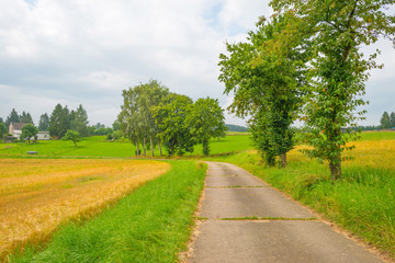 Fototapeta na wymiar Hills of the Eifel National Park in summer