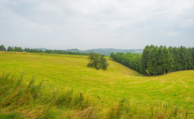 Hills of the Eifel National Park in summer