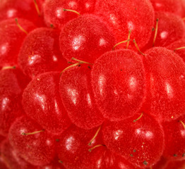 raspberries. macro background