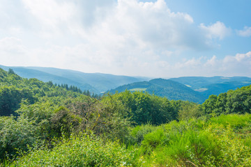Obraz premium Hills of the Eifel National Park in summer