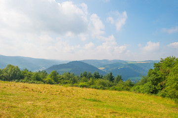 Fototapeta na wymiar Hills of the Eifel National Park in summer