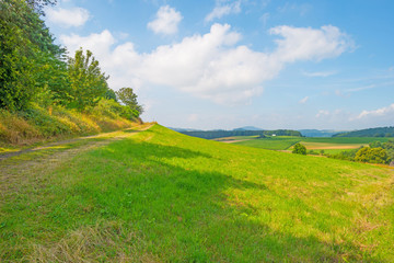 Hills of the Eifel National Park in summer