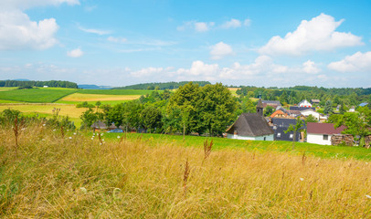 Fototapeta na wymiar Hills of the Eifel National Park in summer