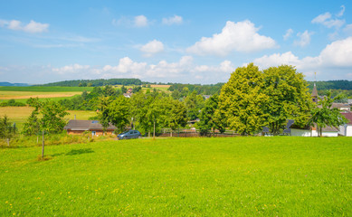 Hills of the Eifel National Park in summer