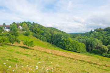 Naklejka na ściany i meble Hills of the Eifel National Park in summer