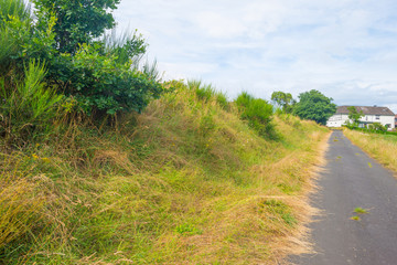 Hills of the Eifel National Park in summer