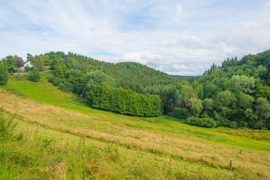 Hills of the Eifel National Park in summer