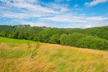 Hills of the Eifel National Park in summer