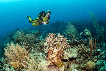 Fotobehang Belize Scuba Diving © Michael Bogner