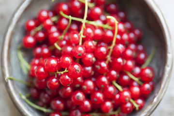 rote Jahannisbeeren,draufsicht