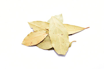Naklejka premium Green dry leafs isolated on white