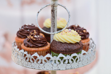 Muffins with vanilla and chocolate cream