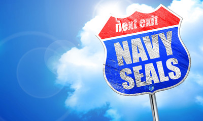navy seals, 3D rendering, blue street sign