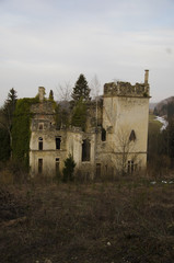 Fototapeta na wymiar Château en ruine de Saint-Sixte (Isère)