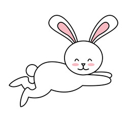 cute rabbit isolated icon design