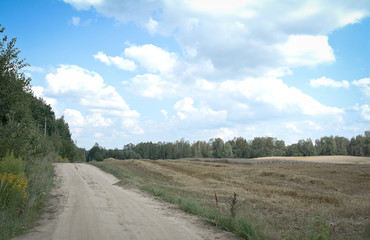 Fototapeta na wymiar rural road and field of wheat