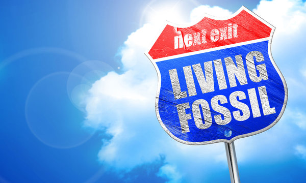 living fossil, 3D rendering, blue street sign
