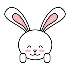 cute rabbit isolated icon design