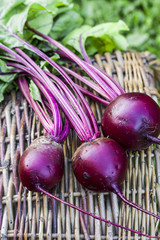 Bunch of fresh beetroots with leaves