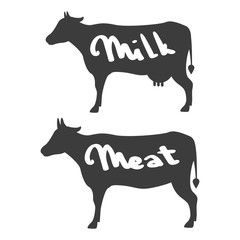 Cow with text milk and meat on white background