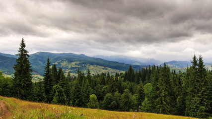 Fototapeta na wymiar Cloudy summer Carpathian mountains landscape. Chornogora ridge, Ukraine, Europe.