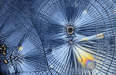 Colorful micro crystals in polarized light