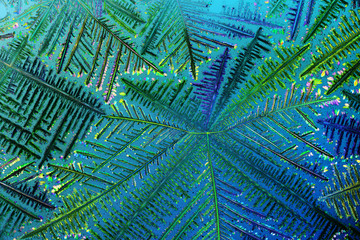 Colorful micro crystals in polarized light