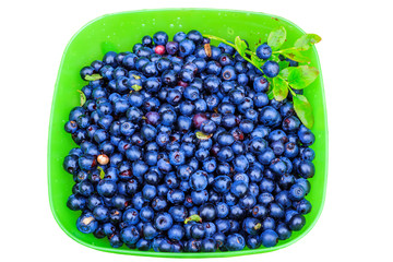 Blueberries fruit in bowl isolated in white background