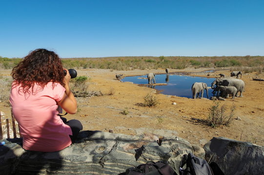 Woman takes pictures of a group of elephants at a waterhole.