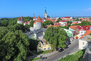 Tallinn, Estonia. View from the Patkuli viewing platform on the Lower Town with St. Olaf's Church, Transfiguration Cathedral and towers of Tallinn City Wall.