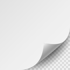 Empty paper sheet. Isolated on transparent background. Vector illustration, eps 10